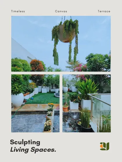 A collage showcasing different elements of a terrace garden I designed, including hanging plants, a small water body, and a variety of potted plants that create a lush, multi-level urban jungle.