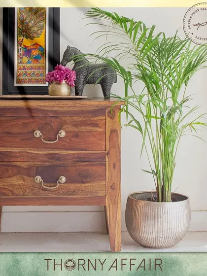A large, ribbed metal planter in a silver finish, placed next to a wooden side table. Its size makes it ideal for larger plants like this areca palm, creating a statement in any room.