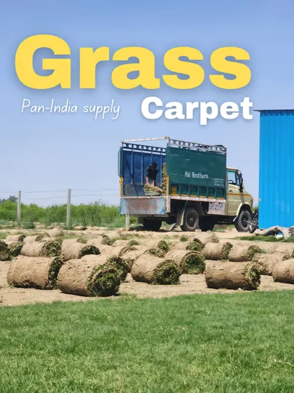 We supply natural grass carpet across India. This image shows our truck being loaded for another large-scale project.