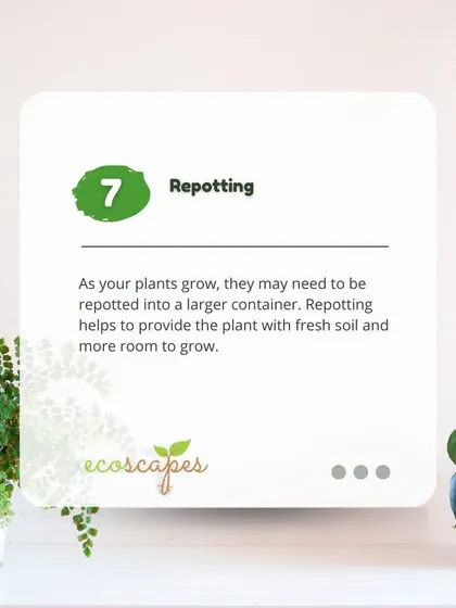 Indoor Tip 7: Repotting. As your plants grow, they will need to be repotted into a larger container with fresh soil. This gives their roots more room to expand and access new nutrients.