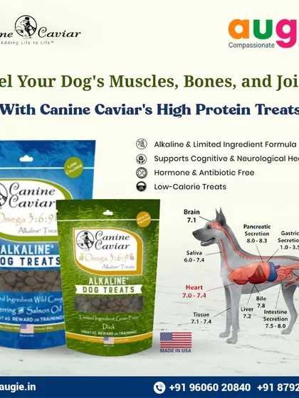 I'm proud to offer these Canine Caviar high-protein treats. They are alkaline, made with limited ingredients, and are hormone and antibiotic-free. They're also low-calorie, making them perfect for training.
