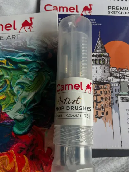 Artists love buying art materials, no matter how many we already have! Here are some of my recent purchases, including Camel artist mop brushes.