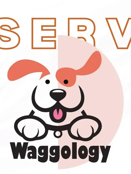 This collection includes more details about my services, brand announcements, and my philosophy. From explaining why dogs run to you to showcasing my team at events, it all reflects my commitment to professional, empathetic pet care.