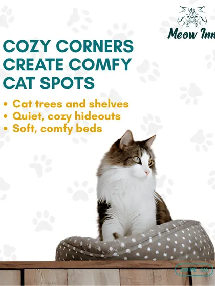 Cozy corners are a must. Cat trees, soft beds, and quiet hideouts are just some of the ways I create comfy spots for our guests.