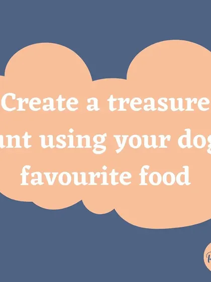 Set up a treasure hunt by hiding your dog's favorite treats or kibble around the house. This engages their natural sniffing instincts and is a ton of fun for them.