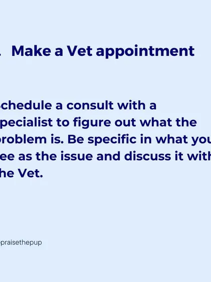 The first step is always to make a vet appointment. I guide you on how to be specific about the issues you're observing.