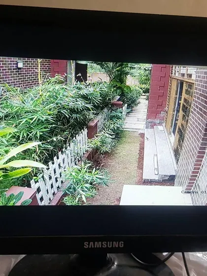 This camera provides a clear view down a narrow garden path between two walls.