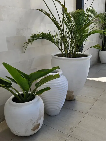 Simple, elegant, and timeless. A trio of classic white planters of different shapes and sizes, perfect for creating a clean and sophisticated look on a patio or balcony.