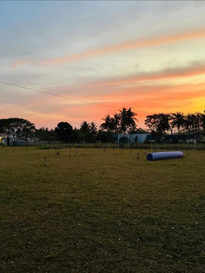 The beautiful, fiery sunset over our vast, open field is a sight to behold.