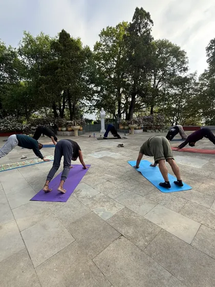 A group of yogis in Adho Mukha Svanasana (Downward-Facing Dog) on our retreat. The fresh mountain air and stunning views make every asana feel more expansive and rejuvenating.
