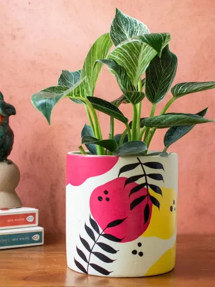 The vibrant, abstract pattern of my Summer hand-painted planter makes it a joyful and artistic addition to any room.