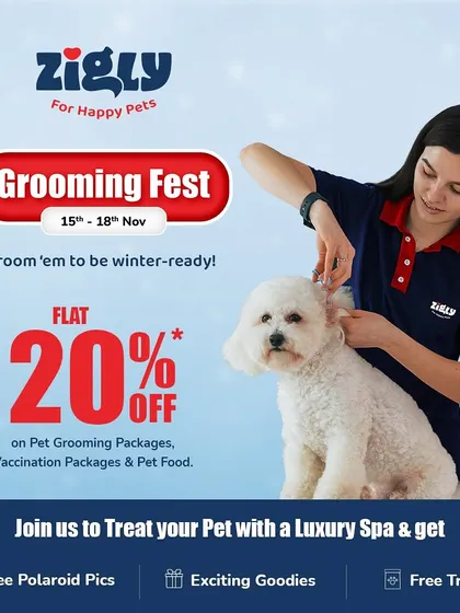 A promotional graphic for our Grooming Fest, inviting pet parents to get their pets winter-ready with a luxury spa experience and exciting goodies.