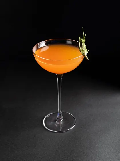 An elegant orange cocktail in a coupe glass against a stark black background, creating a classic and sophisticated portrait.