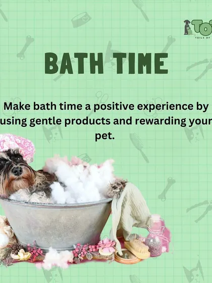 Make bath time a positive experience. Use gentle, pet-safe products and reward your furry friend with lots of praise and treats to build a positive association.