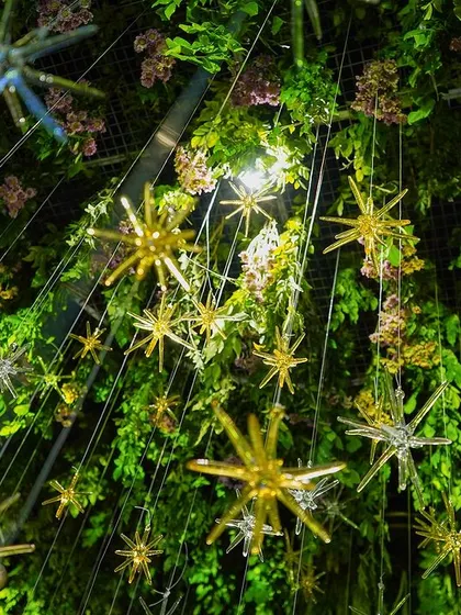A view looking up into the canopy of hanging greenery and star-shaped ornaments. This celestial-inspired ceiling treatment adds a layer of magic and wonder to the event.