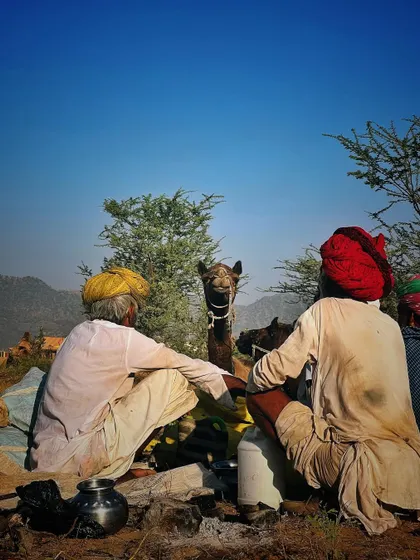 Two traders in traditional Rajasthani attire sit with their camel, which curiously peeks between them, at the Pushkar Fair.