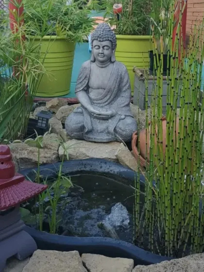 I incorporated a small, bubbling water feature into this Zen garden design. The combination of the Buddha statue, water, rocks, and plants creates a harmonious and peaceful corner.