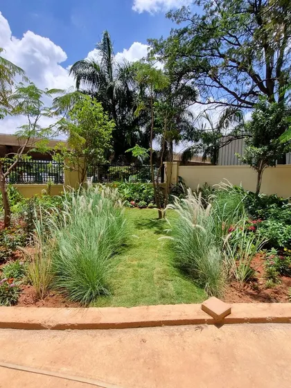 A newly planted garden path at Legacy Cirocco, lined with soft, feathery fountain grass. This design choice creates a natural, informal walkway that invites exploration and adds gentle movement to the landscape.