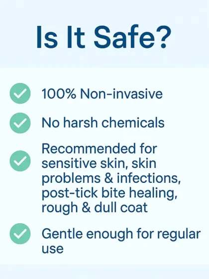 Pet parents often ask if the Ozone Spa is safe, and the answer is a resounding yes. It is 100% non-invasive, uses no harsh chemicals, and is gentle enough for regular use, even on dogs with the most sensitive skin.