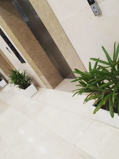 I believe every corner is an opportunity for greenery. Here, I've placed simple, elegant planters with lush foliage near the elevators to soften the hard surfaces and improve the waiting experience for shoppers.