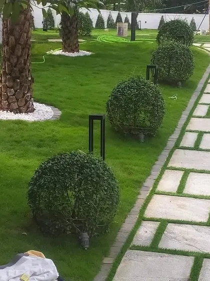 A close-up of the detailed work on a large property. This shows perfectly spherical topiary bushes lining a stone walkway, with modern, low-profile lighting fixtures and a healthy green lawn.