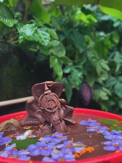 The final step: a gentle and eco-friendly immersion. This clay Ganesha, adorned with a cobra, dissolves back into the earth in a bucket of water and flowers.