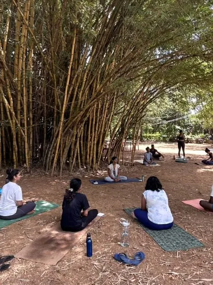 A moment of quiet connection with nature during a Hatha Yoga session under the bamboo trees. My retreats are designed to help you ground yourself and find stillness away from the city hustle.