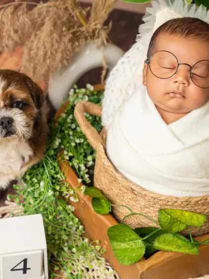 We love getting creative with our newborn sessions, and this one was pure magic. By incorporating a beloved theme and the family's adorable dog, we created a unique portrait that's both whimsical and deeply personal.
