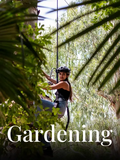 We call this "Gardening." It's actually tree climbing, but you are surrounded by a lot of green.