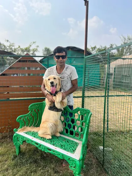 A happy Golden Retriever poses on a bench in one of our play areas. The secure fencing ensures that every dog can play safely while enjoying the fresh air.