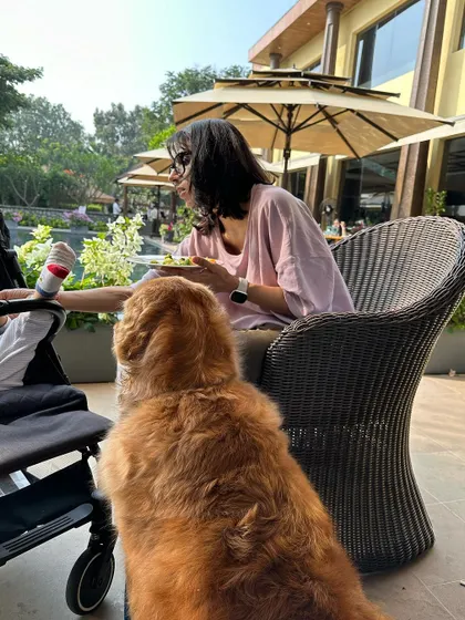 Enjoying a meal out on a pet-friendly patio. It takes management and training, but it's so rewarding to be able to include our dog in our daily family life.