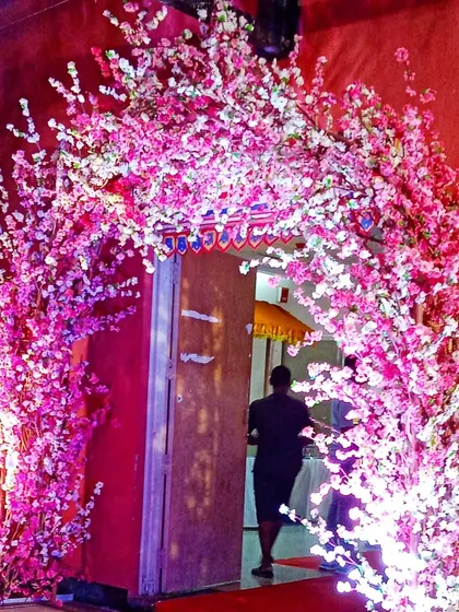 A stunning entrance arch made of artificial pink cherry blossom branches. The arch is lit from below, making it glow and creating a beautiful welcome for an evening event.