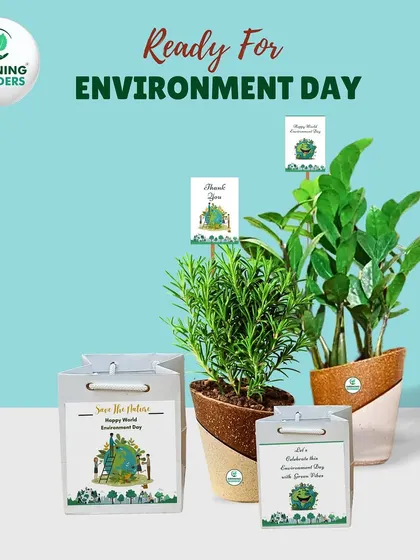 A combination of Rosemary and ZZ plants in our two-toned Eco-Series pots, complete with Environment Day themed packaging.