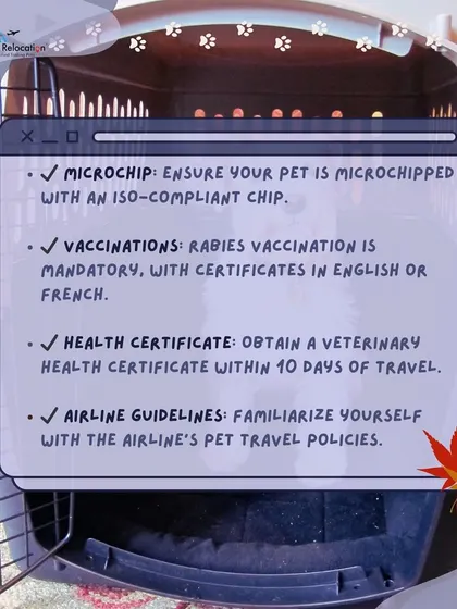 For travel to Canada, you must ensure your pet has an ISO-compliant microchip, a valid rabies vaccination, and a veterinary health certificate issued within 10 days of travel. Always check specific airline pet policies.