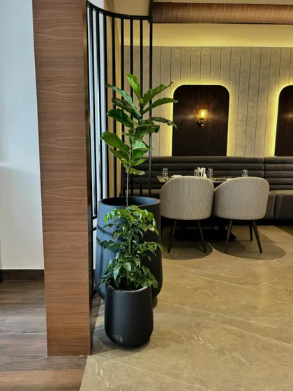 A cluster of plants in modern black pots adds a touch of sophistication to this restaurant's interior. The arrangement plays with different heights and leaf shapes, creating visual interest against the wood and metal decor.