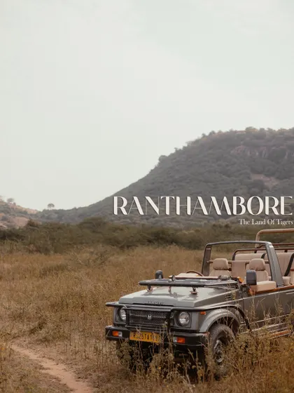 A graphic introducing a pre-wedding shoot in "Ranthambore, The Land of Tigers," setting an adventurous tone with a shot of a safari jeep.