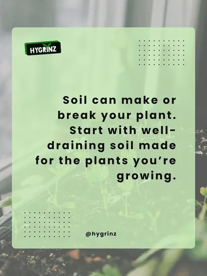 A simple but vital tip: the right soil can make or break your plant's health. Always start with a well-draining mix that is suited for the specific plant you are growing.