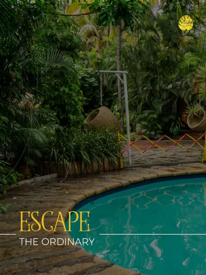 Escape the ordinary and dive into our tranquil pool, surrounded by lush tropical foliage. It’s the perfect spot to unwind and soak up the vacation vibes.