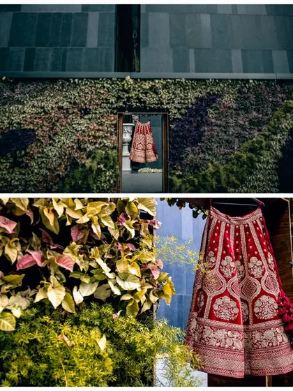 An artistic shot of the bride's red lehenga hanging against a vertical garden, creating a stunning contrast between tradition and nature.