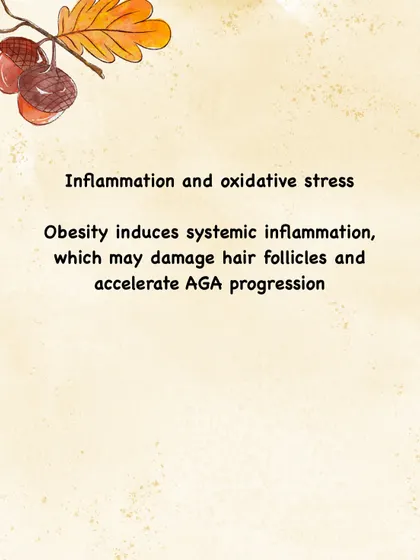 Obesity creates a state of low-grade, systemic inflammation in the body. This chronic inflammation can damage hair follicles and accelerate the progression of pattern hair loss.