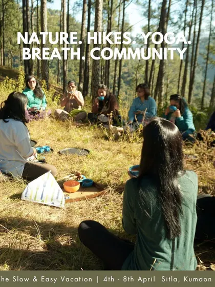 A community circle during a cacao immersion in the forest. These retreats are about creating a space for shared experience, connection, and collective healing.