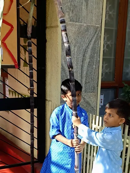 Two boys holding a large sugarcane stalk, a highlight of the Pongal festival.