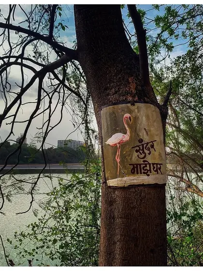 A wider view of the "Sundar Majhe Ghar" sign, showing its context within the beautiful but threatened landscape of the Navi Mumbai wetlands. These signs serve as a poignant reminder of what is at stake.