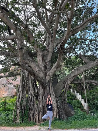 Finding my balance in Vrikshasana, the tree pose, under the grounding presence of a magnificent old banyan tree.