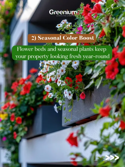 A seasonal color boost keeps your property looking fresh year-round. I use flower beds and seasonal plants, like these vibrant red flowers in a window box, to add a pop of color.