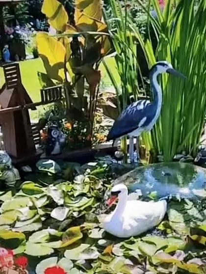 We can create a small pond or water body in your garden. This one is filled with water lilies and decorated with swan and heron statues to make it feel like a natural scene.