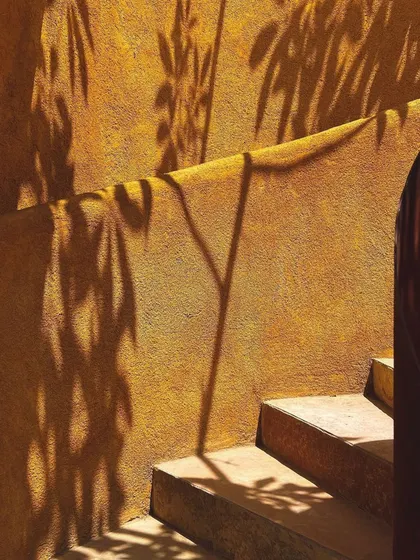 The shadows of leaves on the steps of the spiral staircase, a small, poetic moment of beauty.