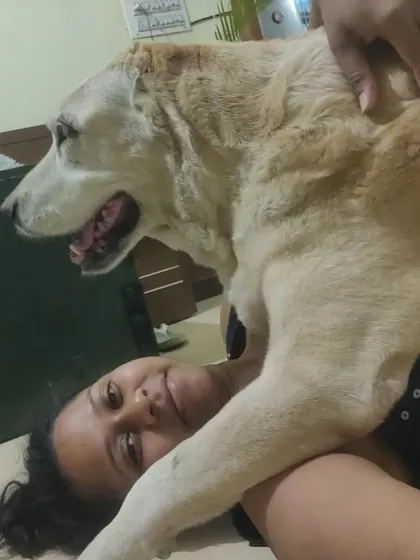 My oldest boy, Scooter, who is deaf and blind, giving me a cuddle. People often think senior or special needs dogs are too much work, but they give back more love and gratitude than you can imagine.