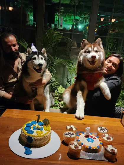 A 1st birthday party for a pair of Huskies at a pet-friendly cafe. Our cakes and pupcakes are perfect for parties at home or out on the town.