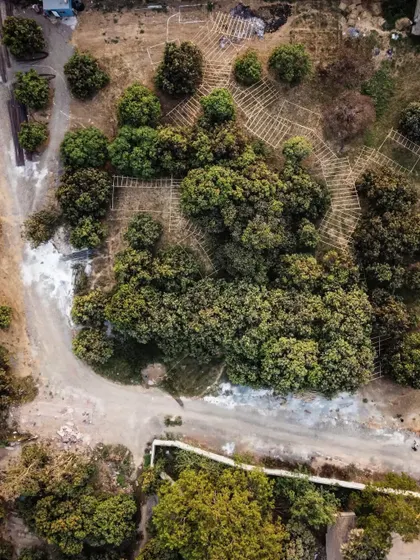 An aerial view of the bamboo mock-up, showing how the proposed structure interacts with the topography and existing mango trees. This process is crucial for designing in harmony with the site.